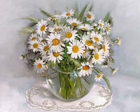 Без бренда «2KMA-0021» в Новороссийске