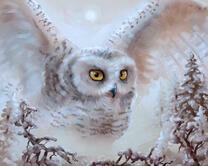 Без бренда «2KMB-3848» в Новороссийске