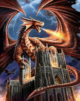 Без бренда «Дракон огня и молний» в Новороссийске