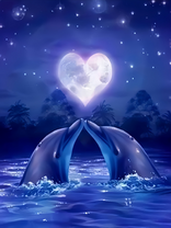 Без бренда «2KSB-0767» в Новороссийске