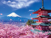 Без бренда «2KSB-7277» в Новороссийске