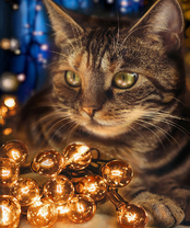 Без бренда «2KXSB-0678» в Новороссийске