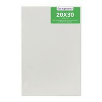 Без бренда «Коробка 80 шт.: Холст Две картинки на подрамнике 20X30» в Новороссийске