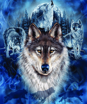 Без бренда «BOX40-2KXSB-0687» в Новороссийске