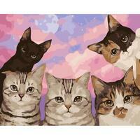 Без бренда «Такие разные котики» в Новороссийске