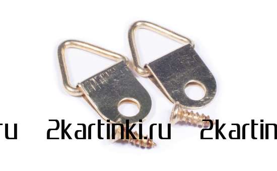 Картина по номерам 40x50 Q5182 Обнаженная девушка и череп за 1050 руб. в интернет-магазине Картина по номерам 40x50 Обнаженная девушка и череп