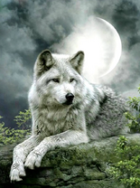 Без бренда «Коробка 25 шт. картин по номерам BOX25-GX21058» в Новороссийске