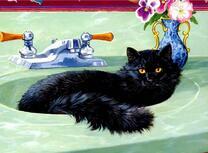 Черный кот отдыхает в умывальнике