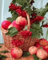 Без бренда «Плетёная корзина с калиной и яблоками» в Новороссийске