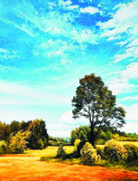 Без бренда «Осенний пейзаж с голубым небом» в Новороссийске