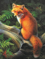 Лиса с пушистым хвостиком