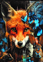 Без бренда «Лиса и синие бабочки» в Новороссийске