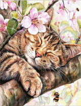 Без бренда «Волосатый котик спит на ветви яблони» в Новороссийске